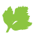 Favicon of Parsley